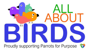 All About Birds, pet shop, bird toys, bird seed, forage, ashmore, gold coast, online, pets, birds, parrots, quaker, galah, conure, Indian ring neck, amazon, parrot, cockatiel, budgie, caique, therapy, happy, parrots for purpose, animal therapy, charity, giving, joy, love, inclusion, LGBTIQA, LGBTIA, gift card