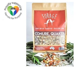 Forage Gourmet Seed - Conure & Quaker