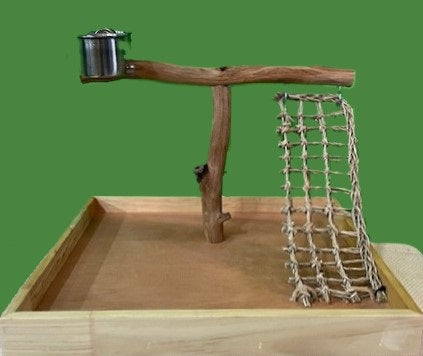 Training Perch with ladder and Clip-on Feeding Cups - All About Birds