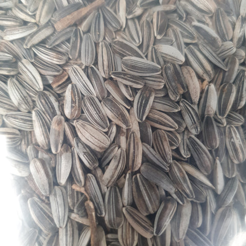 Sunflower seeds for birds, 500g sunflower seed, 2kg sunflower seed, 5kg sunflower seed, grey stripped sunflower seed, birds paradise, bird treats, bird seed, bird feed