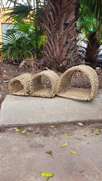 cage tidy, platform perch, sisal rope, boing, Avi One, perches, fruit skewer, foraging material, forage material, hammock, seagrass hammock, Bird backpack, bird accessories, window perch, shower perch, Seedmate, bird harness,