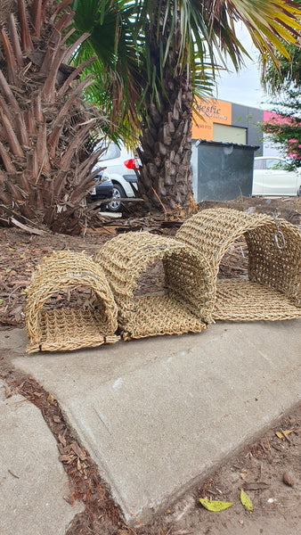 Seagrass Hammocks - All About Birds