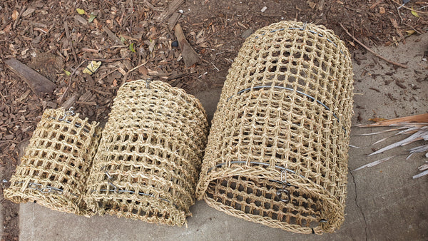 Seagrass hammocks