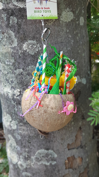 Pina colada, pina colada bird toy, pina colada parrot toy, hide and seed toy, birds paradise, gold coast, shredding toys, bird toys, parrot toys, coconut toy, forage toys