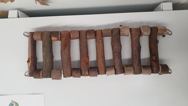 Natural ladder - All About Birds