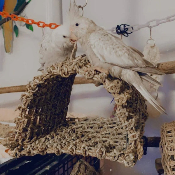 Seagrass Hammocks - All About Birds