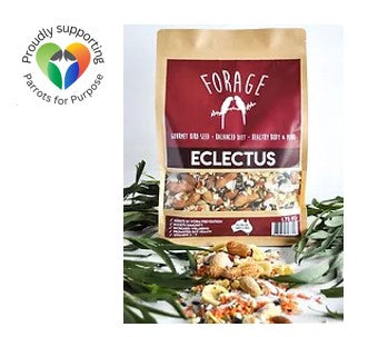 Forage Gourmet Seed - Eclectus