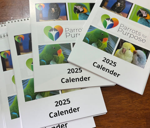 Parrots for Purpose 2025 Calandar