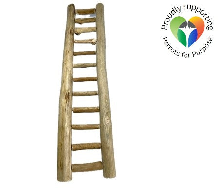 Natural Ladder 48cm - Nino’s Java
