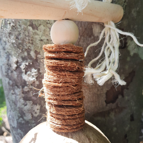 Natural Coconut Treasure Hunt