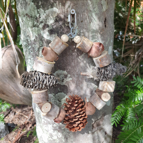 Bird toy, parrot toy, bird accessories  bird shop, gold coast, queensland, australia, natural banksia pods, pinecones, gum nuts, bird care, seed, bird formula, play gyms, bird stands, parrot stands, activity centre, bird ladder