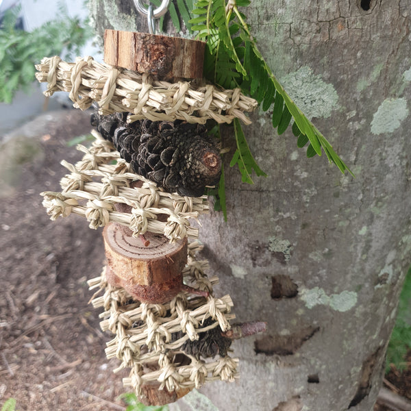 Banksia Pod Sandwich - All About Birds