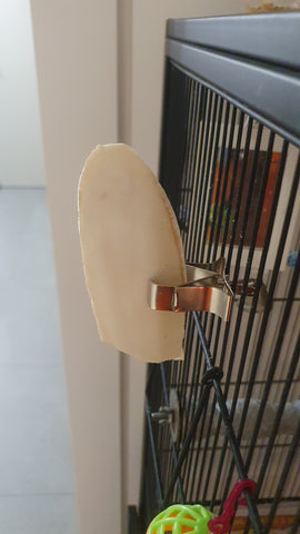 Cuttlebone/millet clip