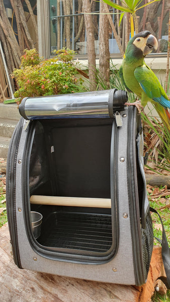 Bird Backpack